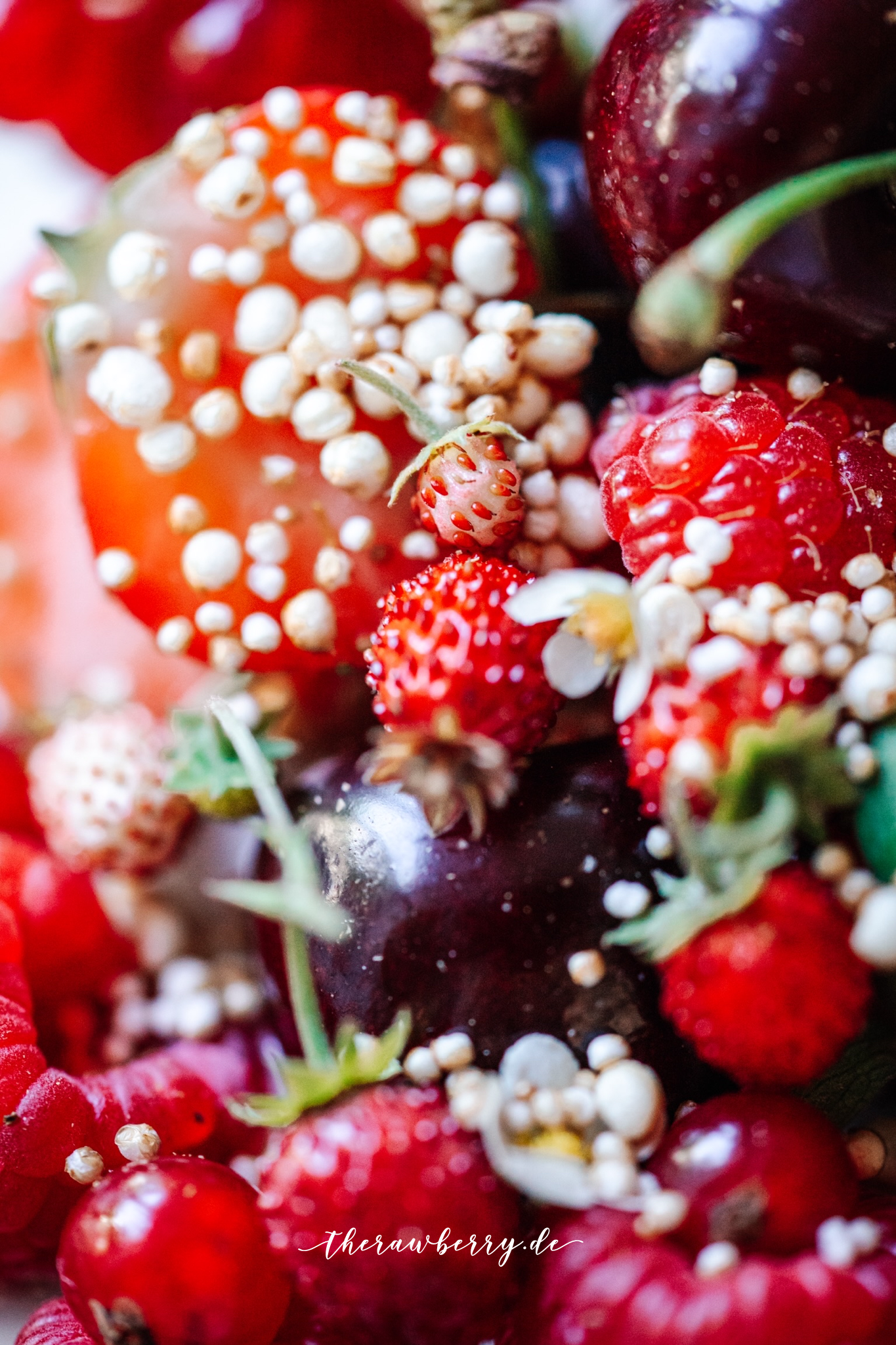 cake, berries, very berry, kuchen, beret, lecker, delicious, einfach, easy, healthy, gesund, vegan, backen, baking, yum, yummy, chocolate, schokolade, layers, schichten, plant-based, Erdbeeren, strawberries, coconut yoghurt, kokosjoghurt, vegan, therawberry, food photography, fotografie, essen, food, dessert, nachtisch, plant-based, wunderschön, Geburtstag, birthday, art, kunst, Marie Dorfschmidt