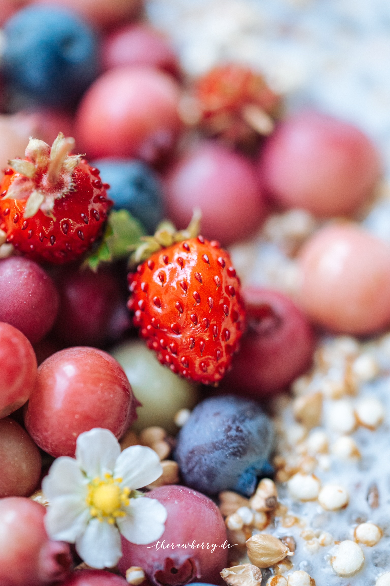 berries, beret, vegan, buckwheat, Buchweizen, glutenfrei, glutenfree, delicious, lecker, healthy, gesund, low carb, wenig kalorien, lifestyle, Plantbased, plant strong, plants, veggie, food, essen, dessert, breakfast, frühstück, Nachtisch bowl, schüssel, einfach, simple, simple, quick, schnell, therawberry, marie dorfschmidt, photography, fotografie, yum, diet, whole foods