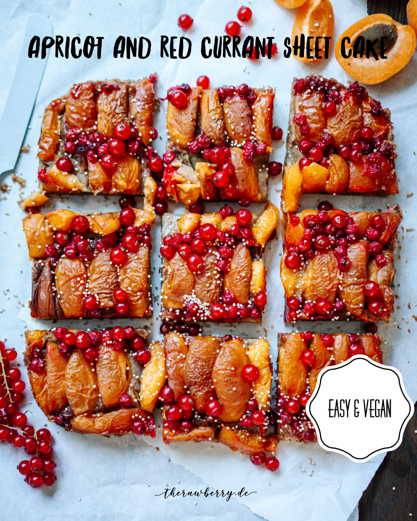 cake, vegan, sheet cake, Blechkuchen, kuchen, vegan. dairy free, laktosefrei, marie dorfschmidt, food photography, fotografie, delicious, lecker, easy, einfach, food, essen, nachtisch, dessert, baking, backen, fruits, früchte, aprikose, apricot, red currants, johannisbeeren, quick, simple, simpel, diet, coconut blossom sugar, kokosblütenzucker, berries, food styling, rezept, recipe