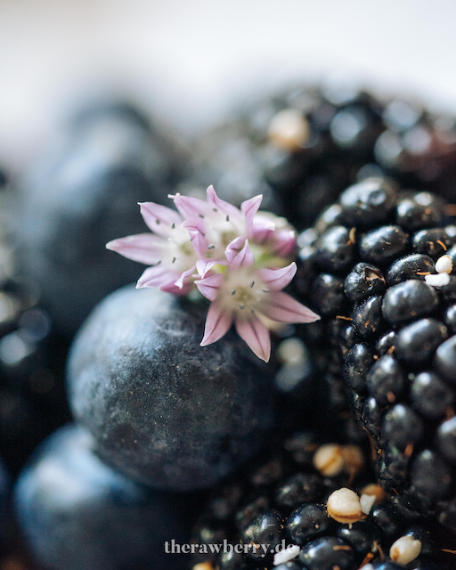 blackberry, Brombeere, vegan, glutenfree, glutenfrei, einfach, simple, healthy, gesund, Käsekuchen, cheesecake, no bake, ohne backen, therawberry, Marie Dorfschmidt, torte, tart, blueberries, berries, Blaubeeren, Beeren, Sommerkuchen, summer cake, food, essen, dessert, nachtisch, rezept, recipe